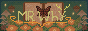 elwind cervus' site